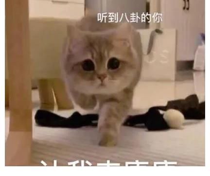 最后贏家|黃景瑜陳學冬開啟凳子辯論賽，誰是最后贏家成最大看點！