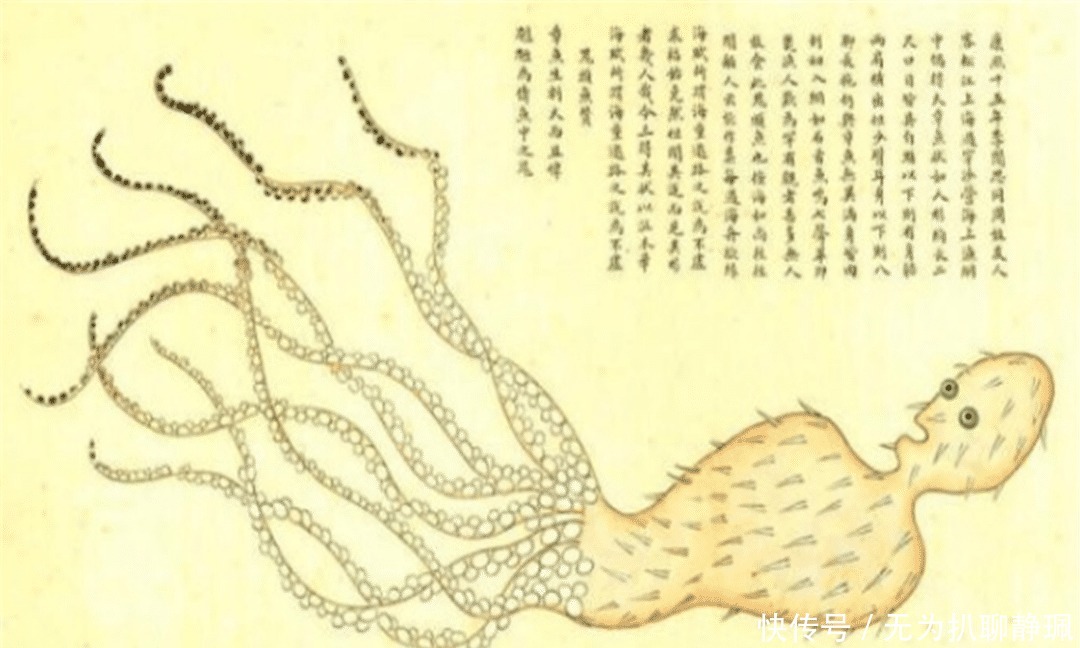 画谱|乾隆枕边翻烂的画谱,被称为清代《山海经》,画中动物达300种