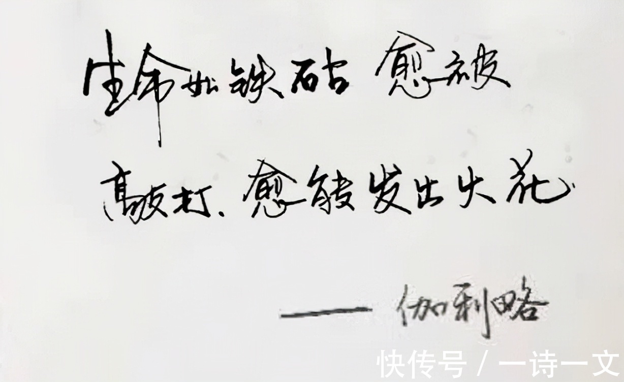 田秋&文字是有灵性的,你邂逅的是一个与你相似的灵魂