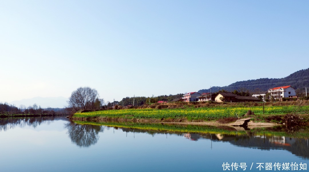 老年|春暖花开，踏青赏花正当时