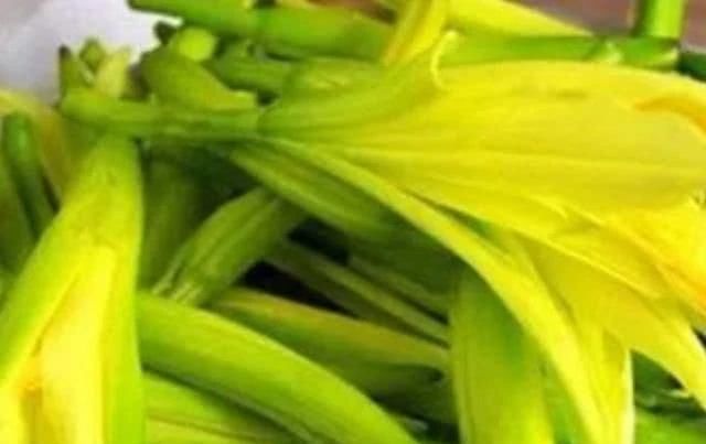 体内湿气|湿气重的人注意,4物早晚换着吃,健脾祛湿,或助你排出体内湿气