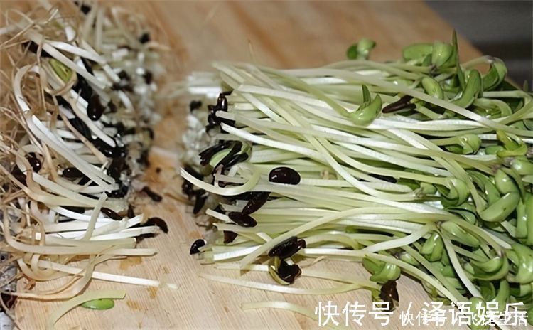 美容|对身体最好的3种食物,美容养生、延缓衰老,爱吃就赚了