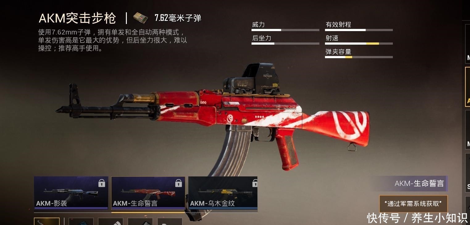 AKM|有这样一把枪，狗杂见面就跑，AKM见面就慌，就算喷子也刚不赢