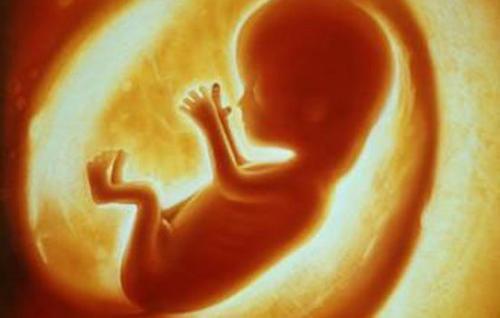 胎儿在子宫内，怎么吃喝拉撒睡6个有趣的胎儿小知识，涨见识！