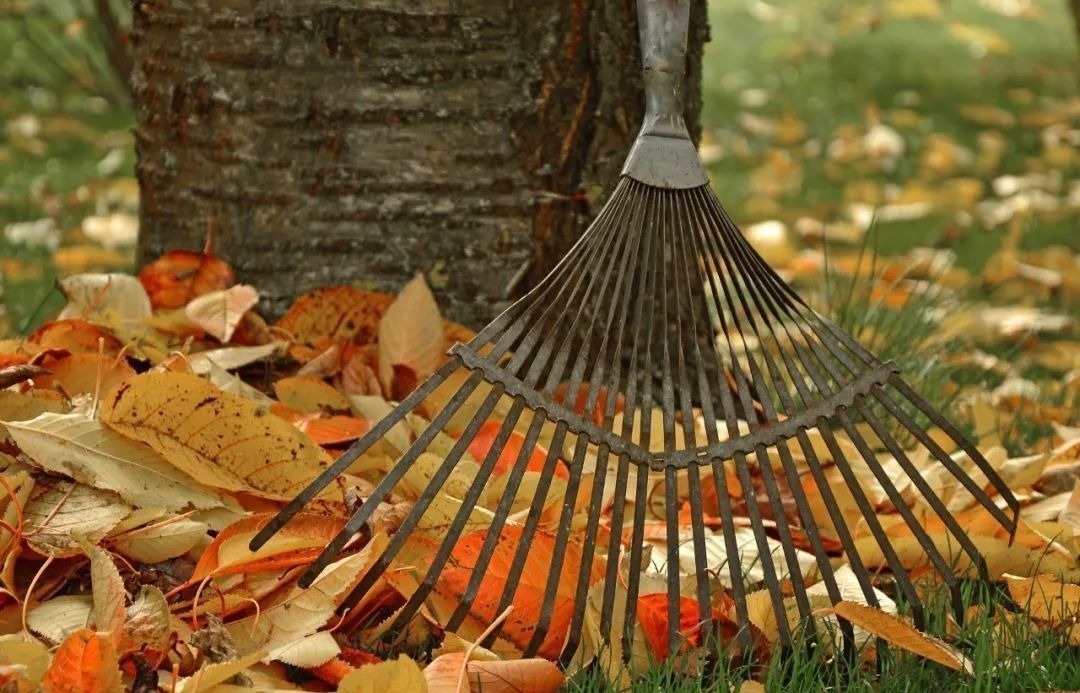 梦一场$元稹千古名句的背后,藏着他最爱的人和最真的情