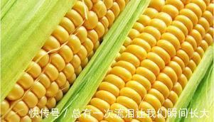 莓茶莓茶|患上子宫肌瘤要淡定，6种食物坚持吃，助你活血化瘀、消除肌瘤