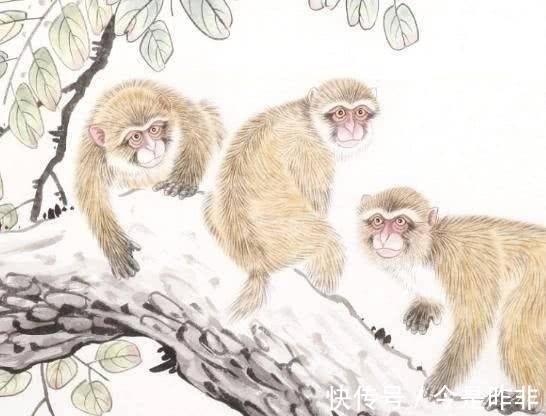 金牛座|未来一周,走横财大运的星座