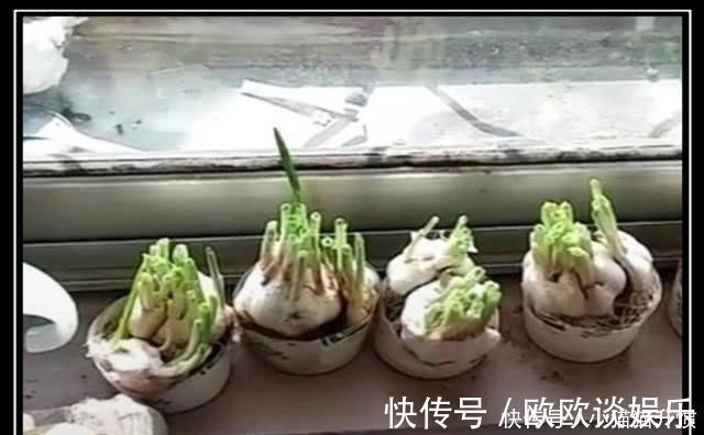 实践性|母亲把小孩寒假作业炒变成菜,蒜头曰记被强制结束,小孩嚎啕大哭