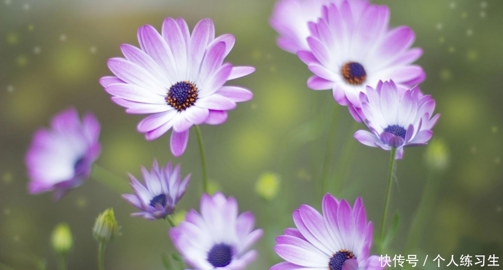 阿姨|62岁阿姨坦言:晚年健康长寿的法宝,并非其他,而是独处