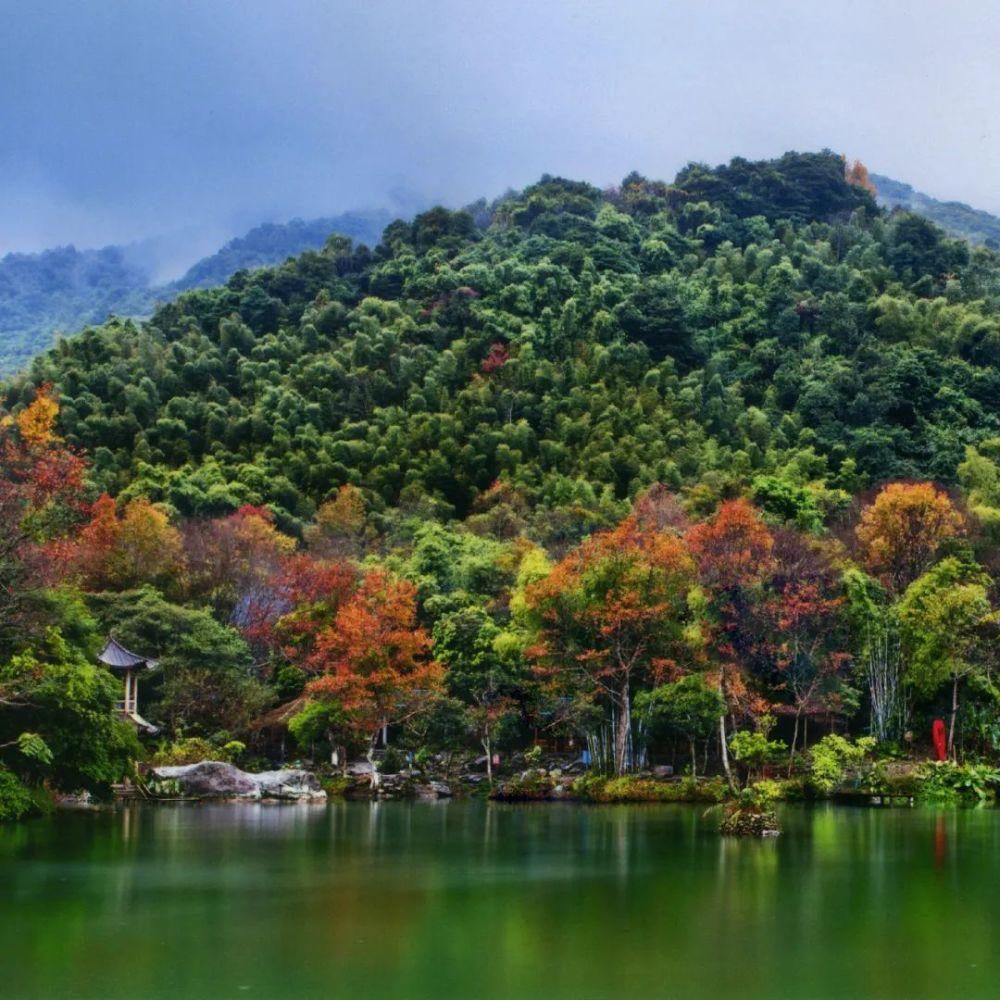  登山|重阳节登山指南来啦！这些登高好去处，遇见河源最美秋色