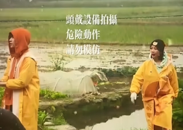 张子枫|向往的生活：杨紫做客，派张艺兴去接，看乘什么车？太欺负仙女了