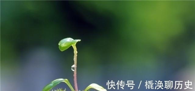 曾国藩&人生逆境时,用这3种方法自救,天不渡人,人自渡