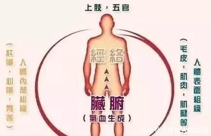 下焦|搞懂了人体的“三焦”,所有疑难杂症,都可迎刃而解,建议收藏!