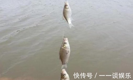 使用这种绑钩方法的串钩来钓鱼,简单快速,结实又耐用!