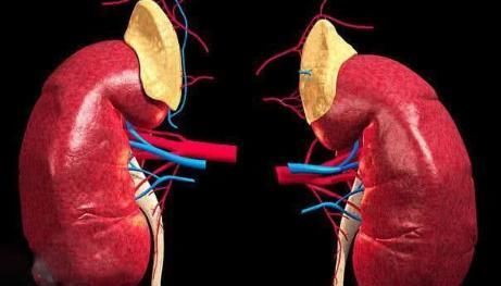 “肾衰竭”的下一站便是“尿毒症”，身体出现3异常，一定别硬撑