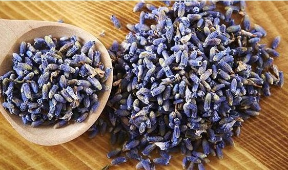 薰衣草|最强的天然“安眠药”,不是香蕉,不是牛奶,睡前喝一杯便能睡着