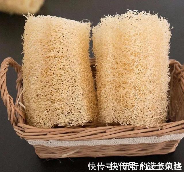 花盆|花盆里垫点底料，根壮叶绿状态好，爆盆真简单