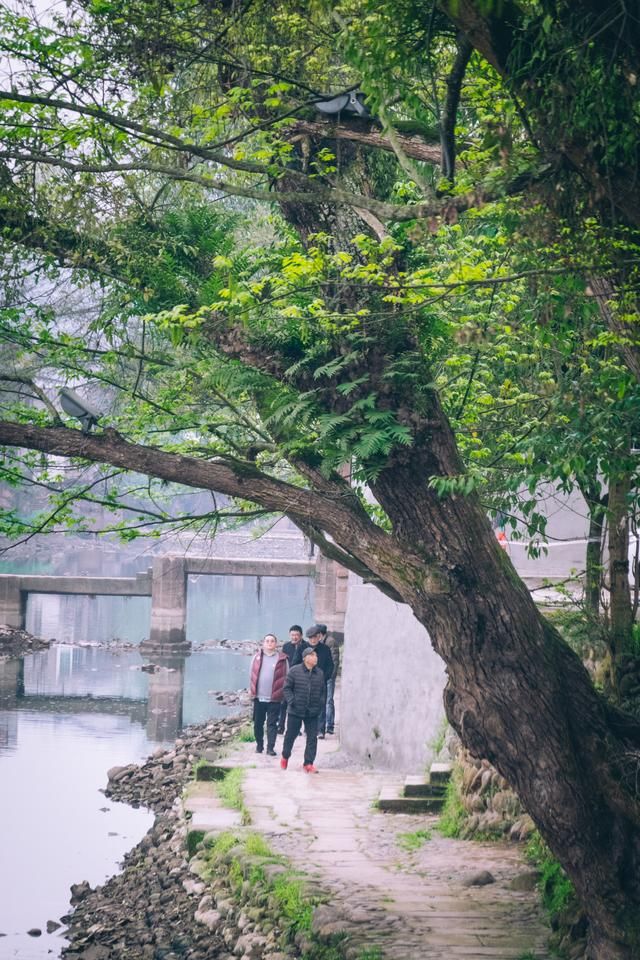 汽车之家|崇州竹艺村，充满了文艺气息的竹编小镇，这个周末一定不要错过了