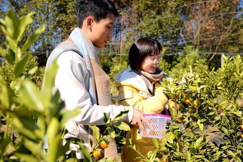 沙坝仔村没坝，但有神农，是城里人向往的村落