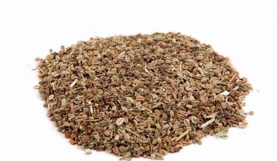 一种野草是蛇的天然“床铺”,开花美价值高!野外遇到最好别碰!