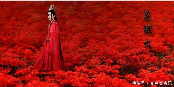 慕容离烽火淬就美人,美不在那一身的颜色,而是那永不褪色的风华