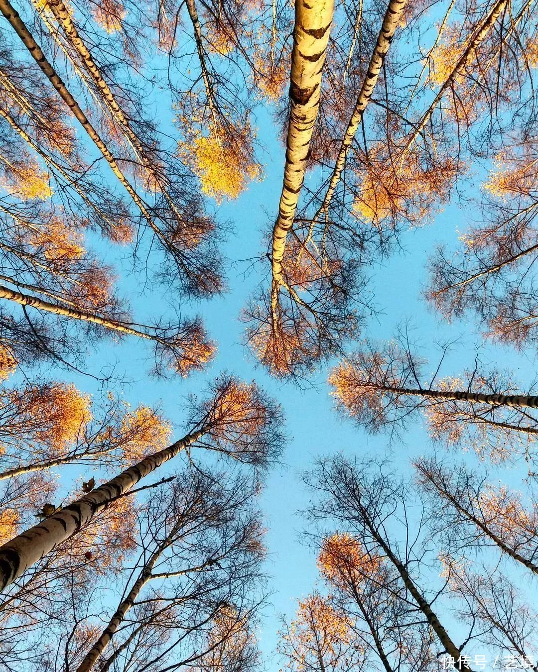 天下风物——《【心中若有好风景，何处不是花满径】诗韵咏合》风光题照