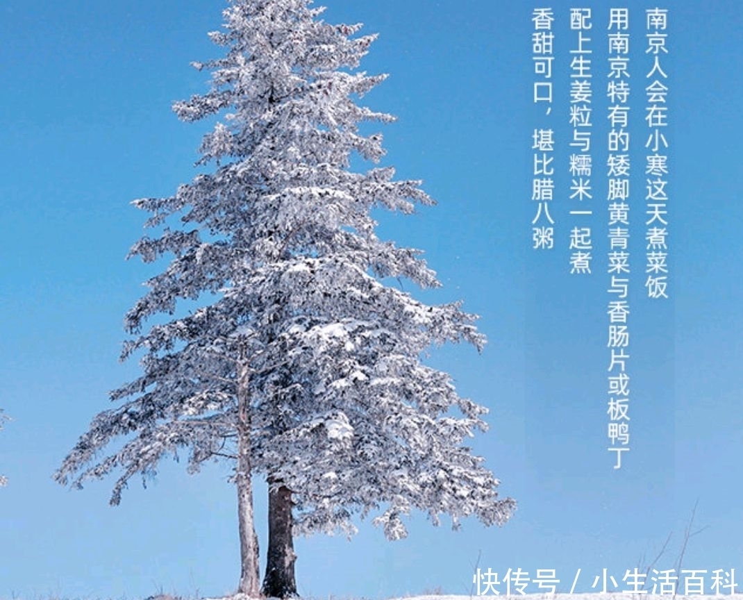 七律《极寒之三》外一首 无衔参谋