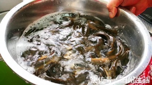 内脏|吃泥鳅到底要不要去内脏很多人不懂,看完终于明白了