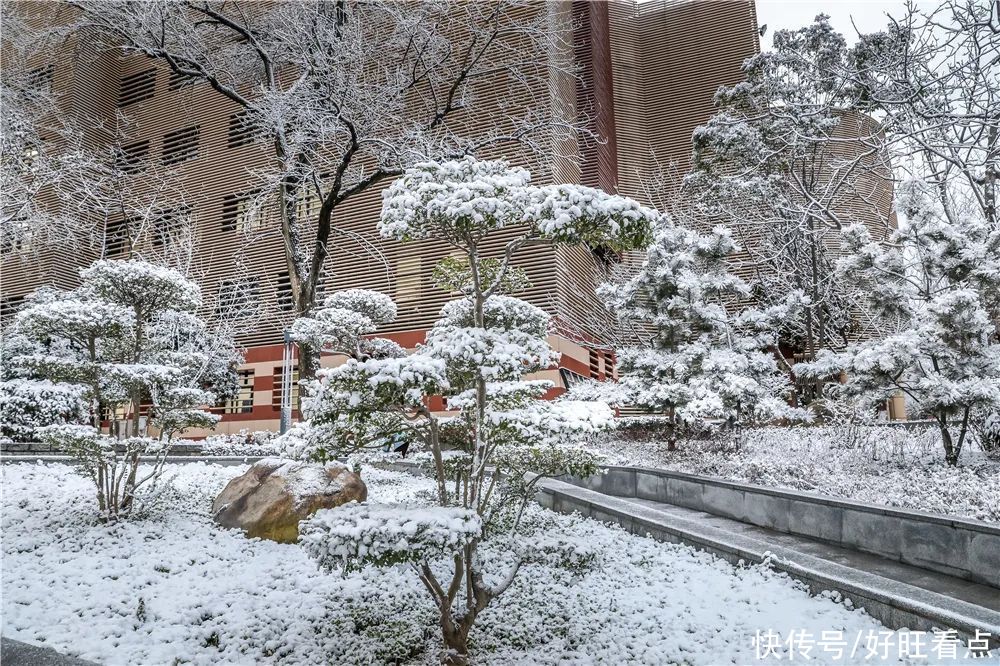 西安翻译学院：银装素裹雪景美如画