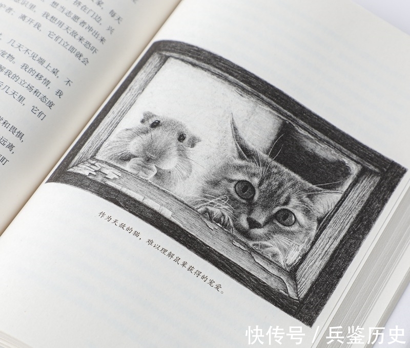 海陆空!动物写作的独特样本:周晓枫全新散文集《幻兽之吻》出版