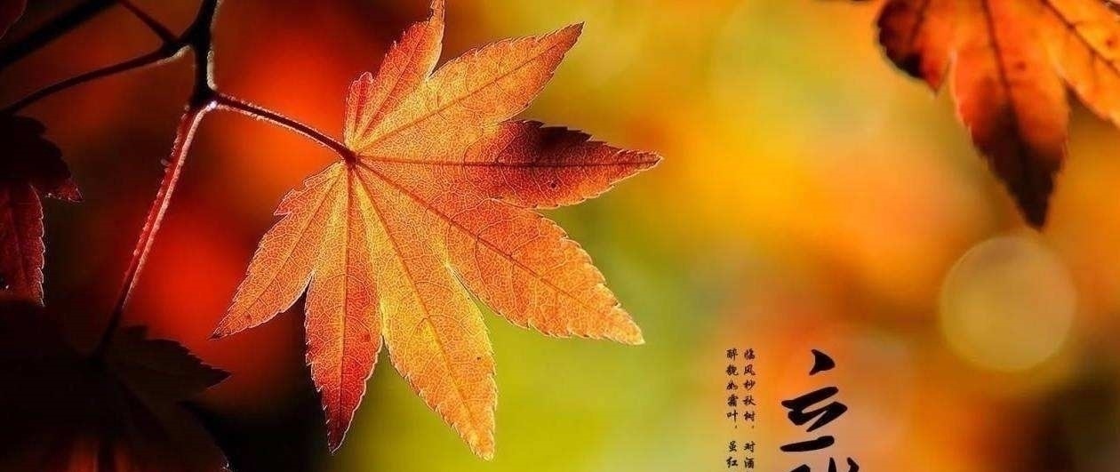 吴文英!50句美到极致的古诗词,每一句都饱含深情,总有一句击中你的内心