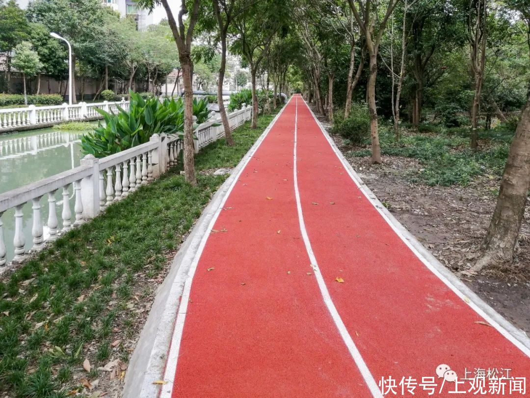 步道|休闲健身好去处！松江这里新增一条健身步道，在你家门口吗？