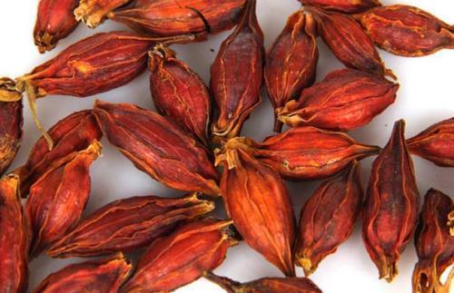 热药|中医入门寒、热、温、凉,4类药材运用经验!(涨知识)