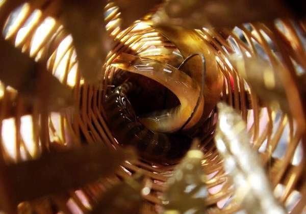 打工仔回到家乡,再钓一次故乡河里的小鱼