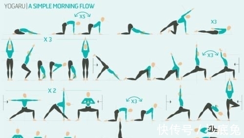 秘密|9幅珍藏级瑜伽挂图,揭开瑜伽老师备课的秘密!