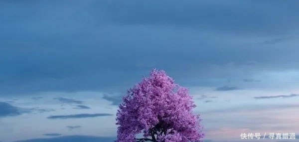 触动|触动灵魂的经典语句,让你每个早上都是精神的状态,早安!