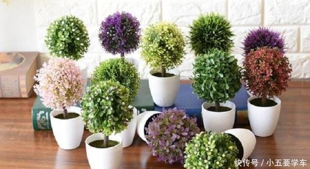 家中有花,这三种果皮就别再“浪费”,简单几步,即可制成养花料!