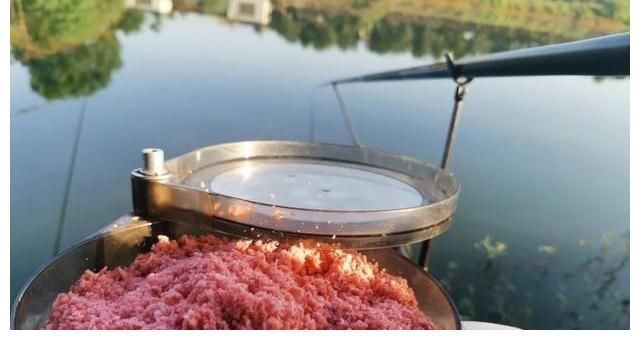 浮漂|手竿钓鲢鳙,你不知道的5个小知识,对提升鱼获很有帮助