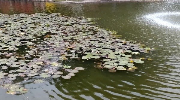 一首词写了两个怕老婆的人,一个是皇帝,另一个是谁你知道吗