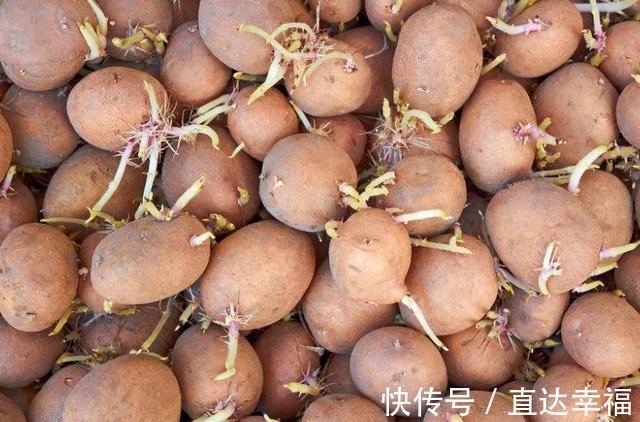 畸形|“怀孕期间”吃5种食物,易增加胎儿畸形和兔唇的风险,需杜绝