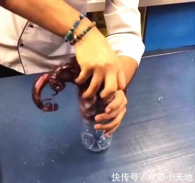 意外|三斤八爪鱼塞进矿泉水瓶,扔水中煮一个小时,拿出来切片,超意外