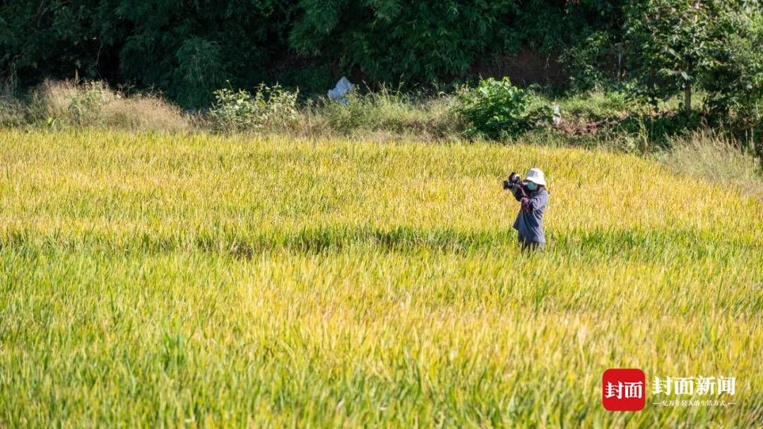 天府$国庆怎么耍？来“天府官塘”瞧一瞧乡村巨变