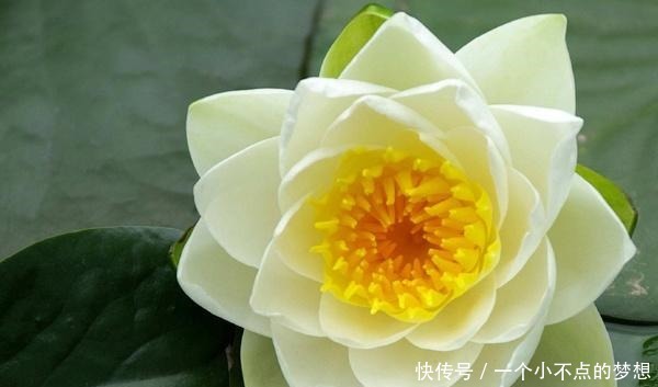 做人,别干4种“傻事”,方为处世的“高手”