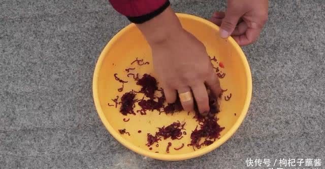 春天钓鱼时,老钓手都会在一天内至少换1次饵,啥原因你知道吗?