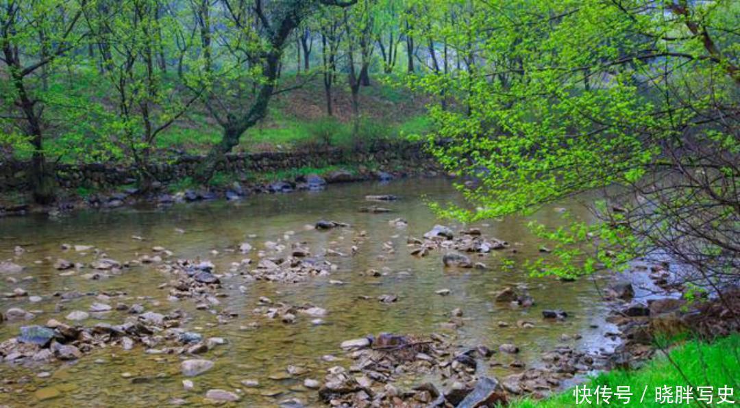 如诗如画|唐朝高僧一首经典的禅诗,通篇美得如诗如画,读来让人拍案叫绝