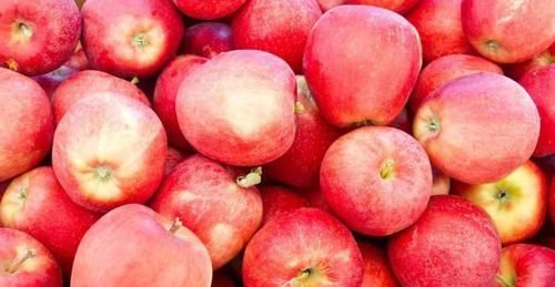 苹果和它一起煮，每天一碗，不失眠了，小肚子不鼓了，身材更苗条