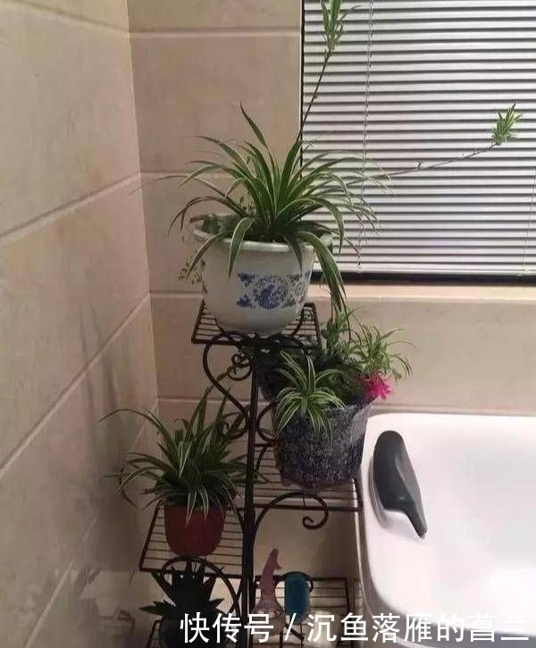 老家|晒晒老家两层小别墅，超爱一楼鱼池，谁说住农村就一定比城里差