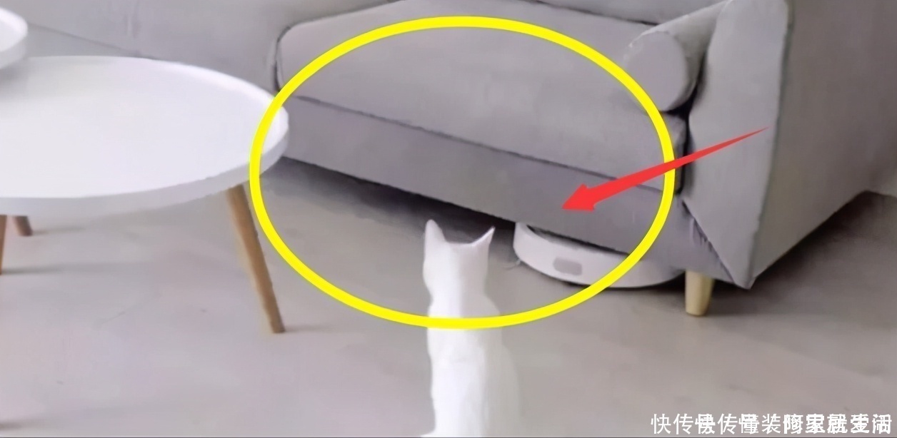 家具|装修过才明白,这12项真太重要了,错装无非就是添烦恼,不实用