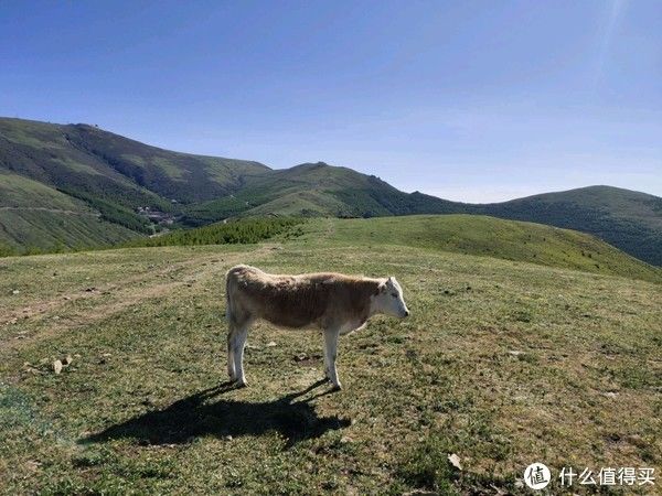 篇一|小小笙南看世界 篇一：五台山是场人生修行——修的一颗不污不垢平和的心