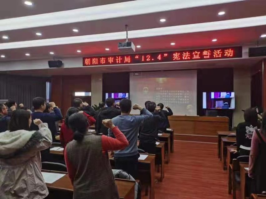  宣誓|市审计局组织宪法宣誓